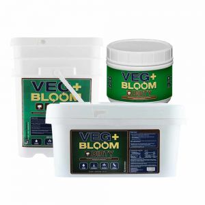 Veg + Bloom Dirty Base 